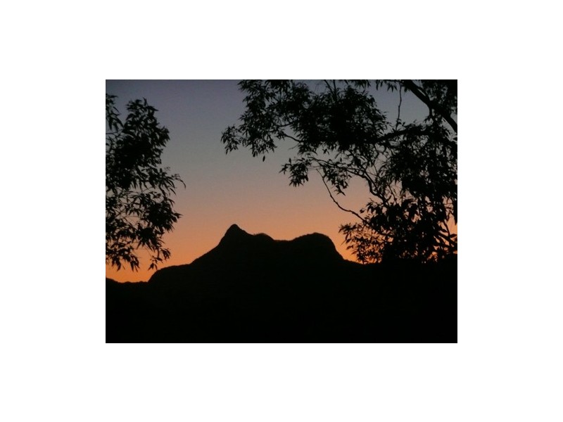 1110 Urliup Road ‘Wychwood Forest’, Murwillumbah NSW 2484
