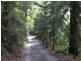 1110 Urliup Road ‘Wychwood Forest’, Murwillumbah NSW 2484