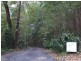 1110 Urliup Road ‘Wychwood Forest’, Murwillumbah NSW 2484