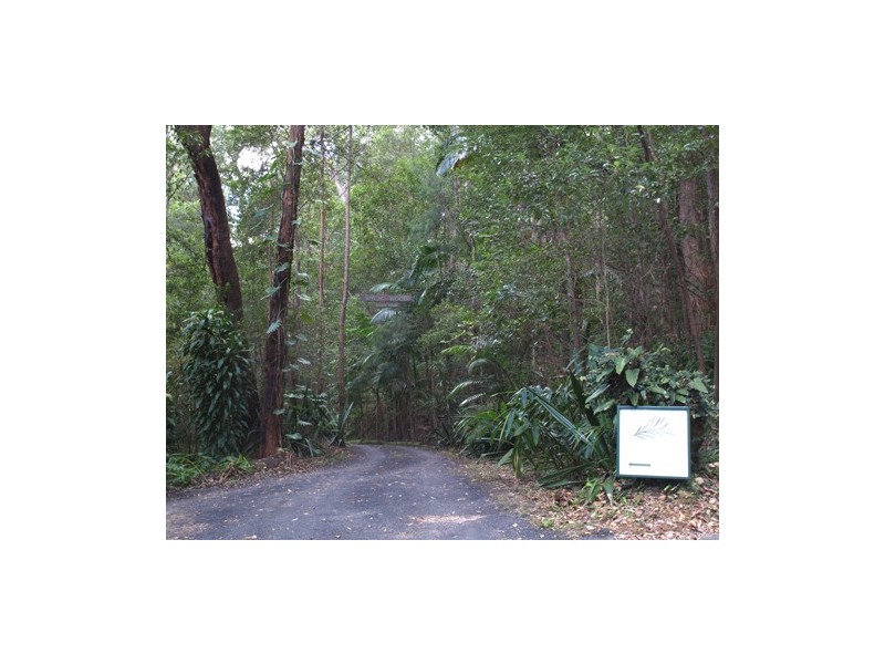 1110 Urliup Road ‘Wychwood Forest’, Murwillumbah NSW 2484