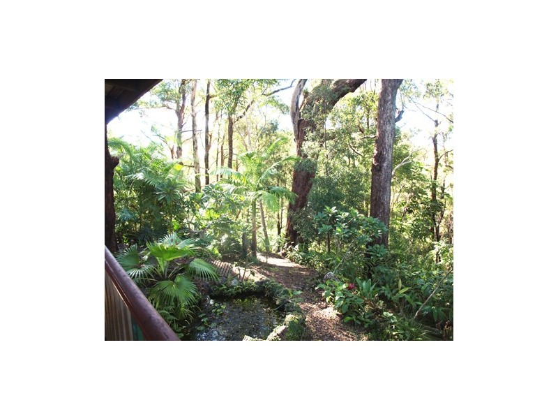 1110 Urliup Road ‘Wychwood’, Murwillumbah NSW 2484