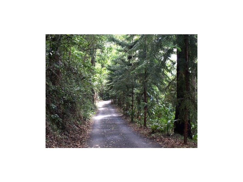 1110 Urliup Road ‘Wychwood’, Murwillumbah NSW 2484