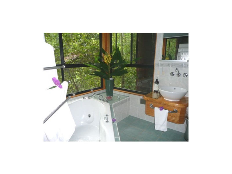 1110 Urliup Road, Murwillumbah NSW 2484