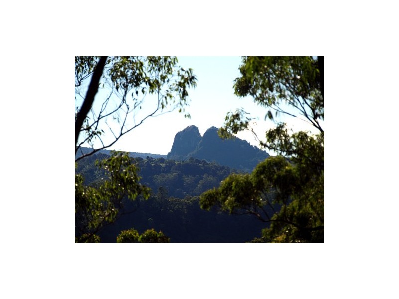 1110 Urliup Road, Murwillumbah NSW 2484