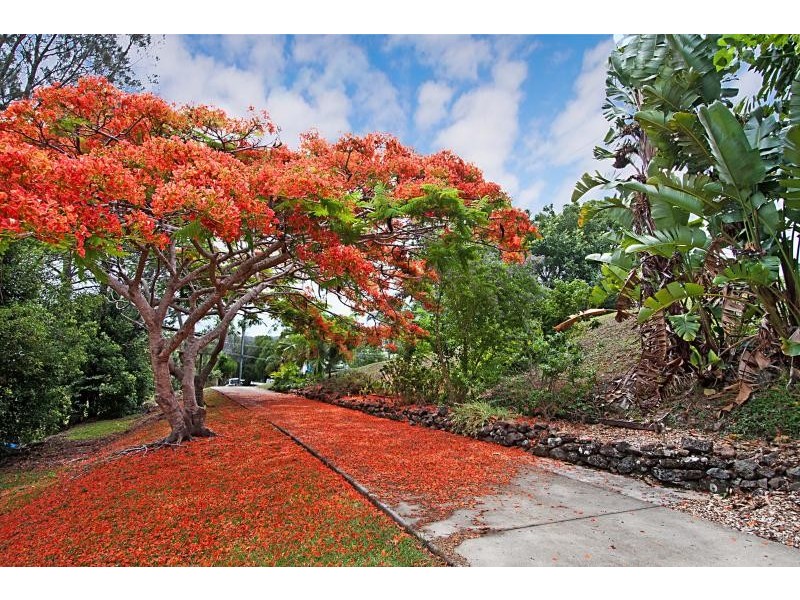 291 Beltana Drive, Bilambil NSW 2486