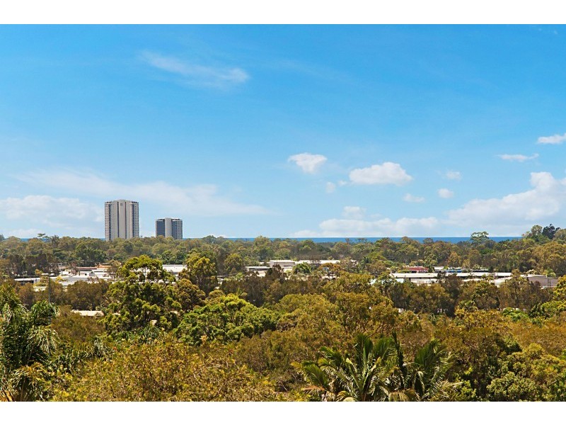 19 Sawtell Drive, Currumbin Waters QLD 4223