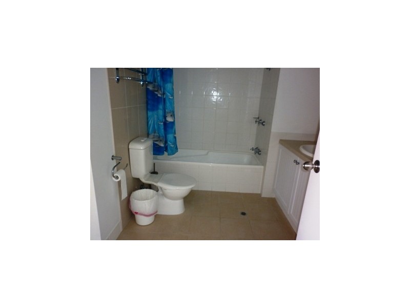 442/87 Griffith Street Calypso Apartments, Coolangatta QLD 4225