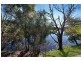 159 Botanical Circuit, Banora Point NSW 2486