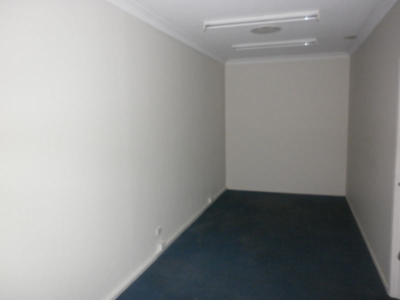 Tugun QLD 4224