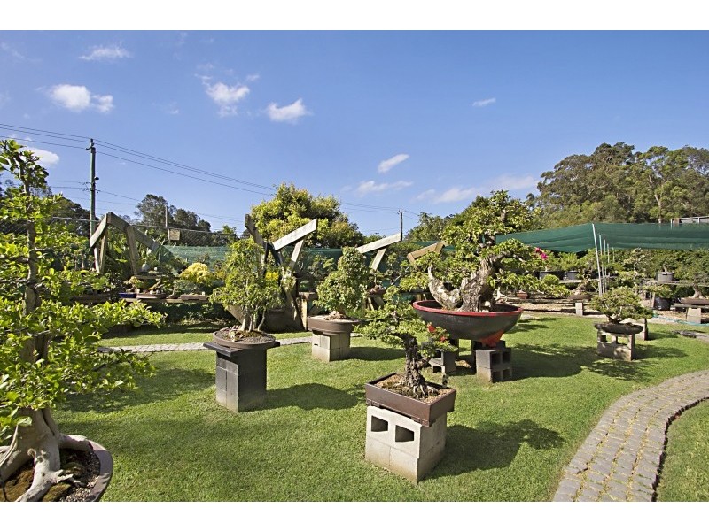 238 Currumbin Creek Rd, Currumbin QLD 4223