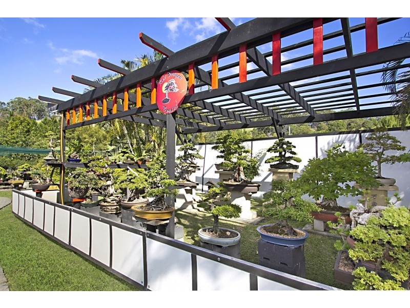 238 Currumbin Creek Rd, Currumbin QLD 4223