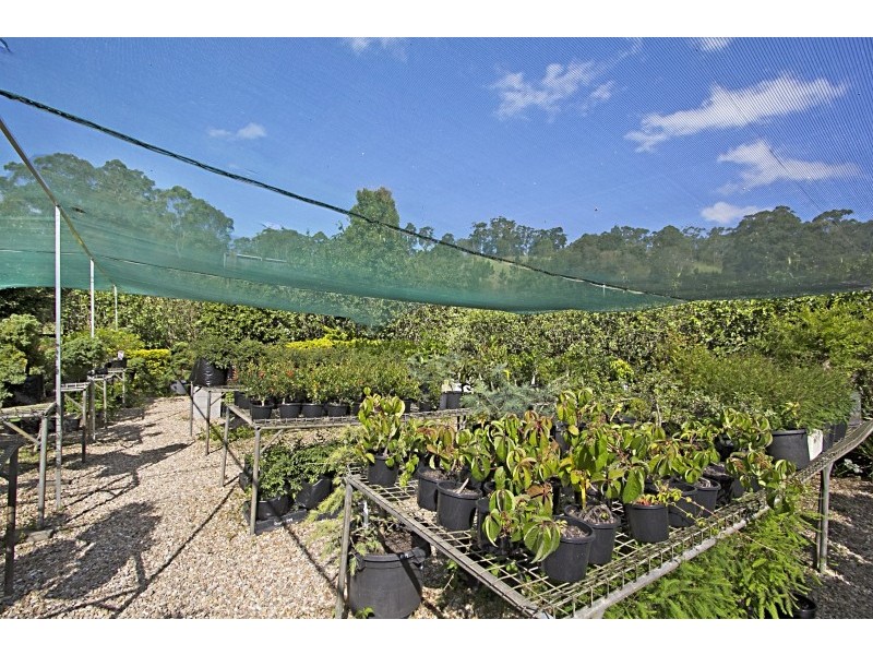 238 Currumbin Creek Rd, Currumbin QLD 4223