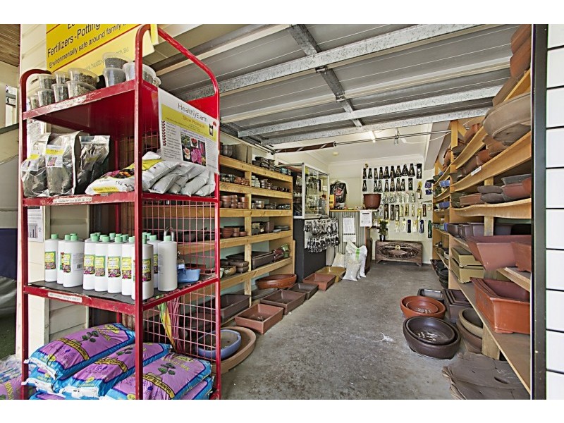 238 Currumbin Creek Rd, Currumbin QLD 4223