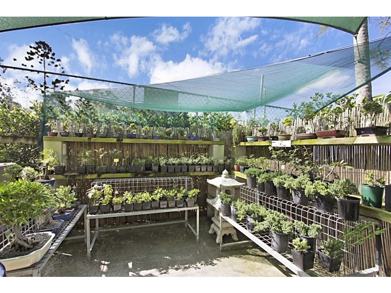 238 Currumbin Creek Rd, Currumbin QLD 4223