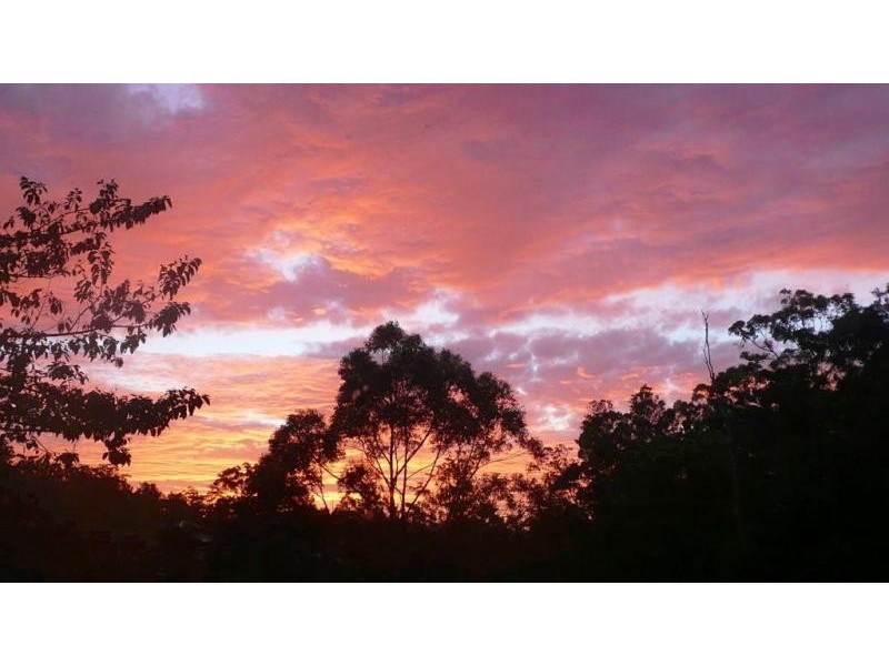 2 Evergreen Drive, Elanora QLD 4221