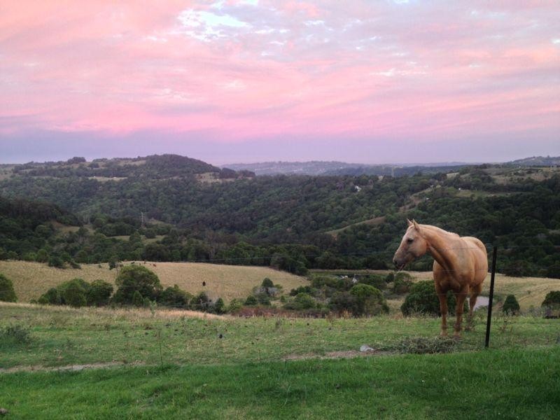 89 McDonalds Road, Carool NSW 2486