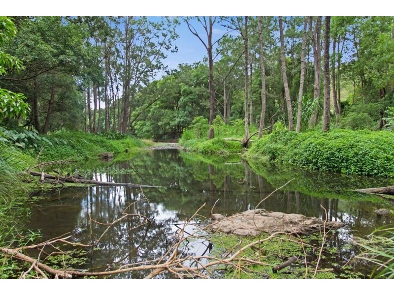 38 Coorabin Court, Tallebudgera QLD 4228