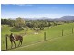 46 Booyong Place, Tweed Valley, Murwillumbah NSW 2484