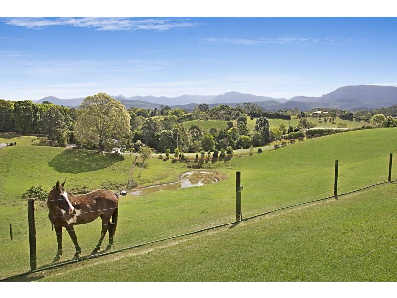 46 Booyong Place, Tweed Valley, Murwillumbah NSW 2484