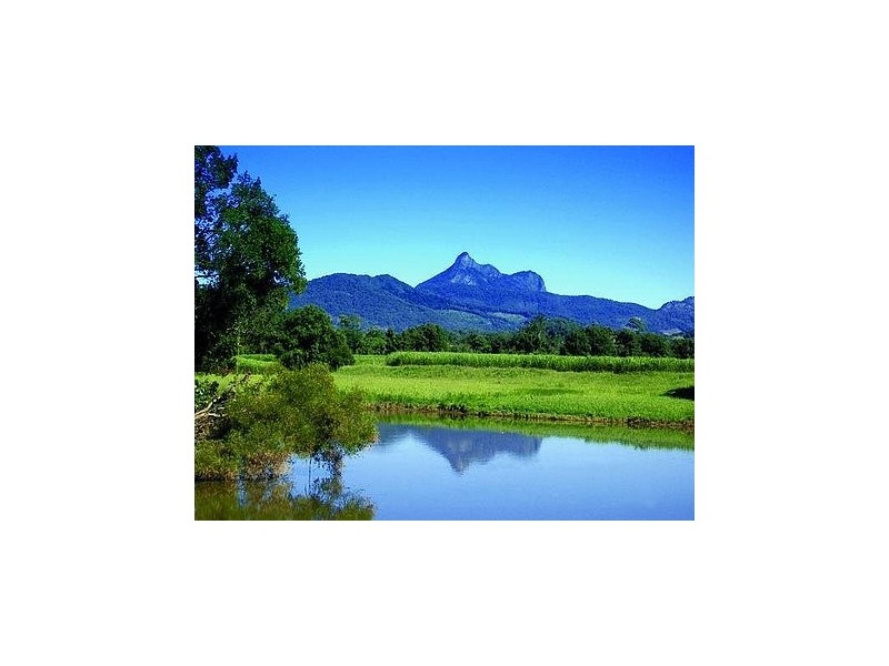 Murwillumbah NSW 2484