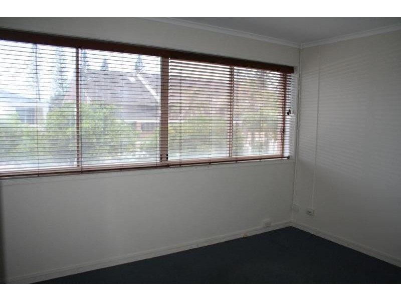 Tugun QLD 4224
