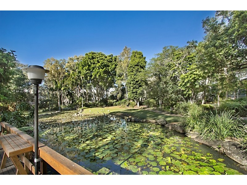 3/56 Guineas Creek Road Botanical Park’, Elanora QLD 4221