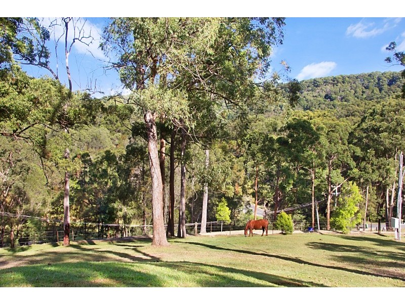 281 Trees Road, Tallebudgera QLD 4228