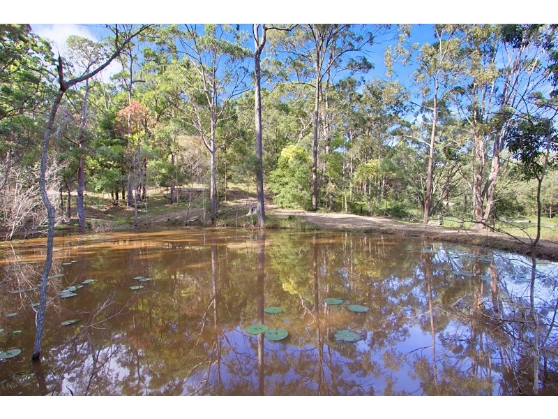 281 Trees Road, Tallebudgera QLD 4228