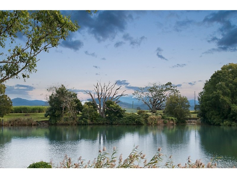 65 Mcleod Street, Condong NSW 2484