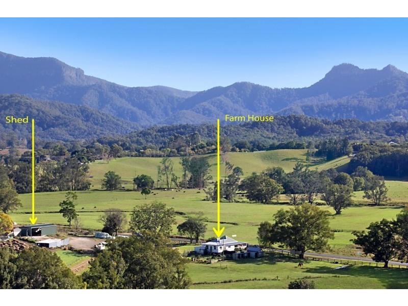 603 Numinbah Road, North Arm, Murwillumbah NSW 2484