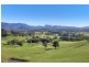 603 Numinbah Road, North Arm, Murwillumbah NSW 2484