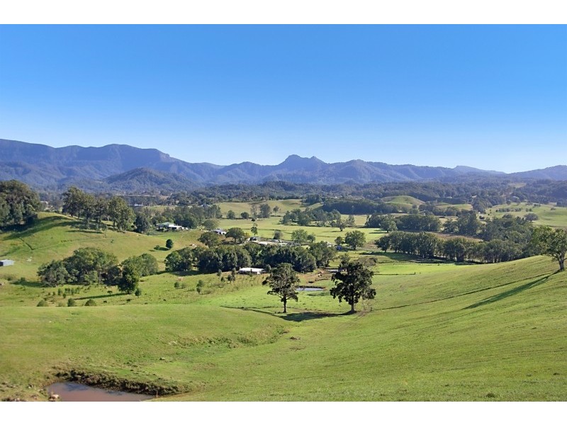 603 Numinbah Road, North Arm, Murwillumbah NSW 2484