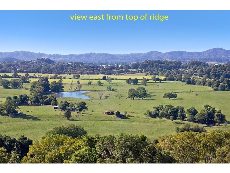 603 Numinbah Road, North Arm, Murwillumbah NSW 2484