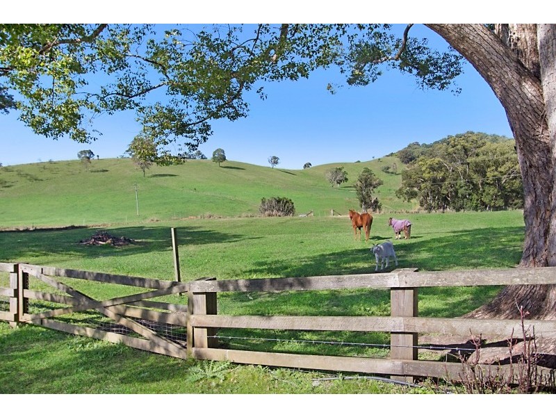 603 Numinbah Road, North Arm, Murwillumbah NSW 2484