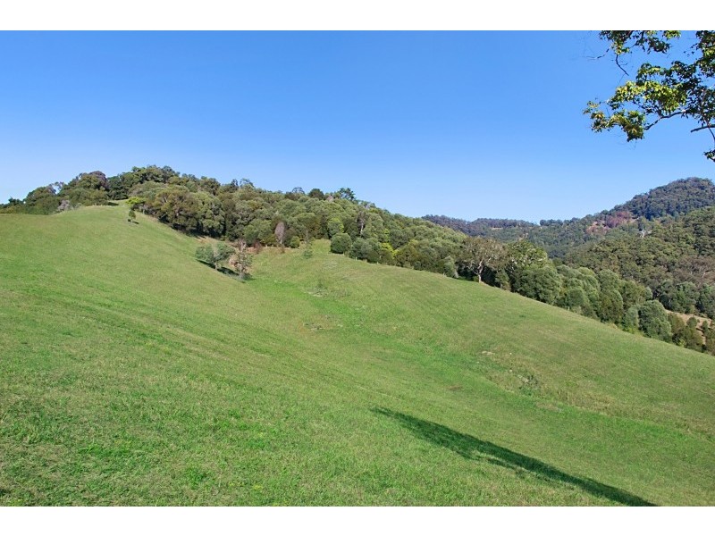 603 Numinbah Road, North Arm, Murwillumbah NSW 2484