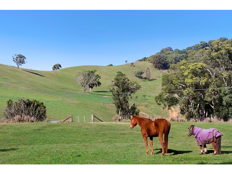 603 Numinbah Road, North Arm, Murwillumbah NSW 2484