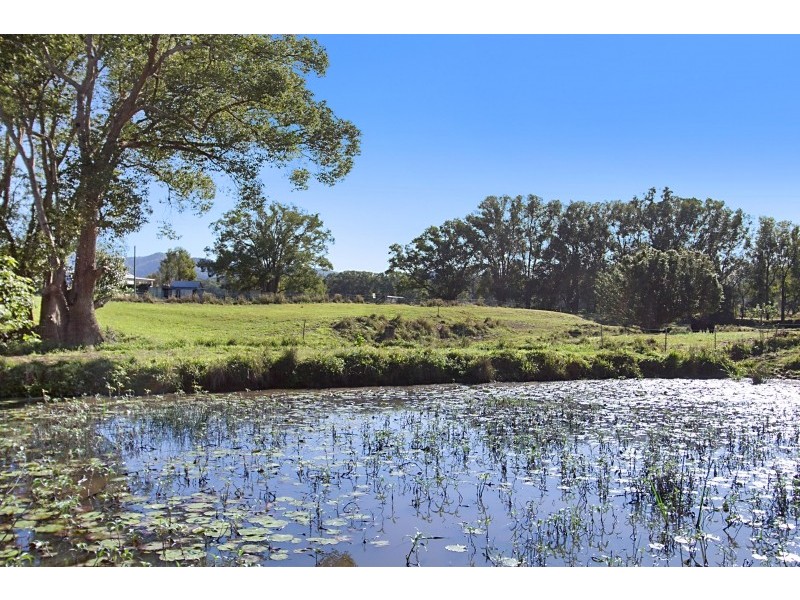 603 Numinbah Road, North Arm, Murwillumbah NSW 2484