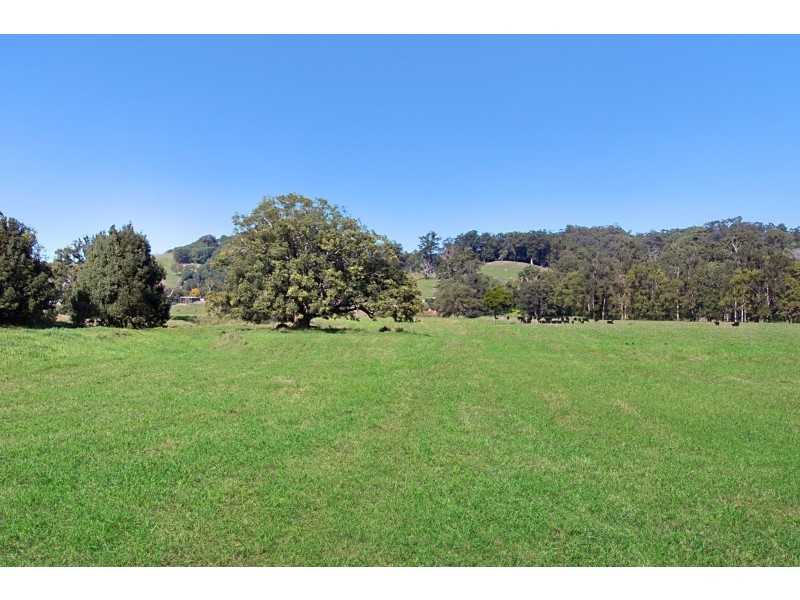 603 Numinbah Road, North Arm, Murwillumbah NSW 2484