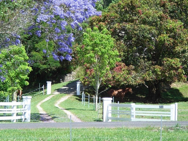 509 Upper Crystal Creek Road, Crystal Creek NSW 2484