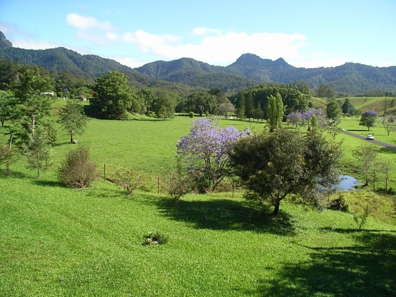 509 Upper Crystal Creek Road, Crystal Creek NSW 2484