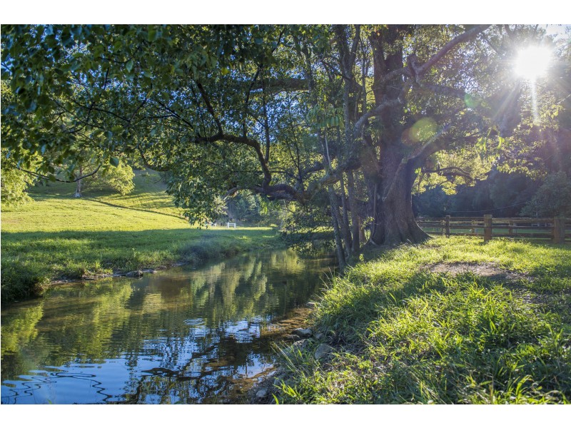 509 Upper Crystal Creek Road, Crystal Creek NSW 2484