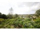 20 Nangana Street, Tugun QLD 4224