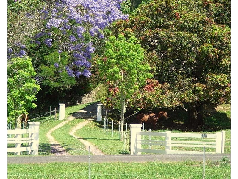 509 Upper Crystal Creek Rd, Crystal Creek NSW 2484