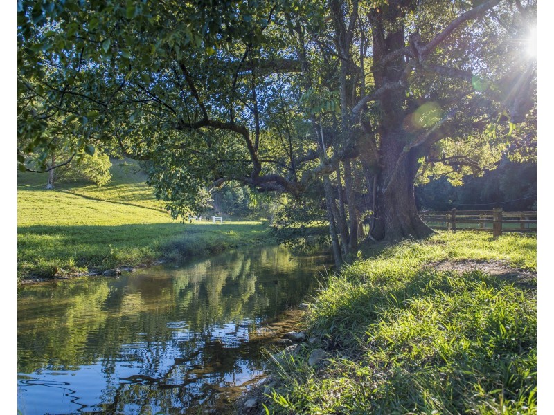 509 Upper Crystal Creek Rd, Crystal Creek NSW 2484