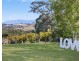 531 Zara Road, Chillingham NSW 2484