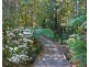 531 Zara Road, Chillingham NSW 2484