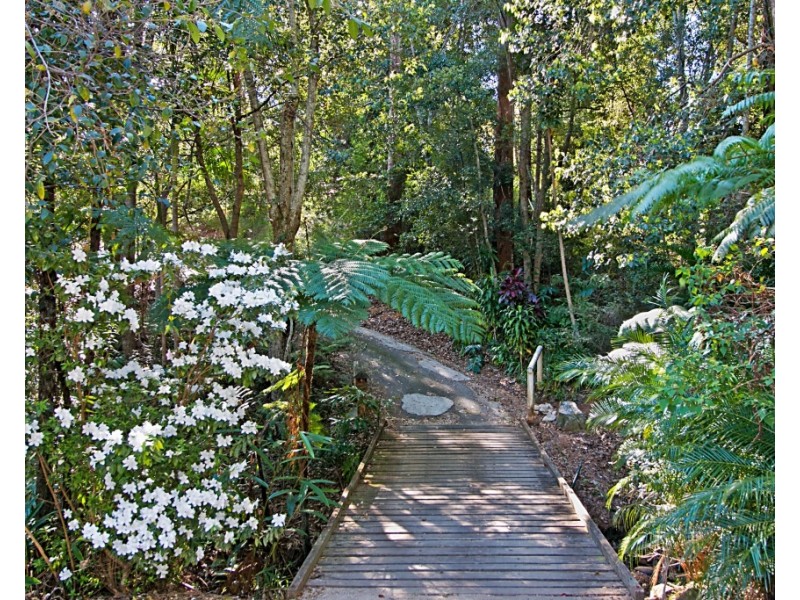 531 Zara Road, Chillingham NSW 2484