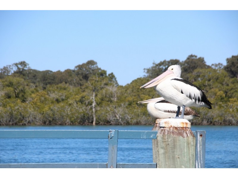 3/22 William Street, Tweed Heads South NSW 2486