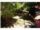 43A Cominan Ave, Banora Point NSW 2486