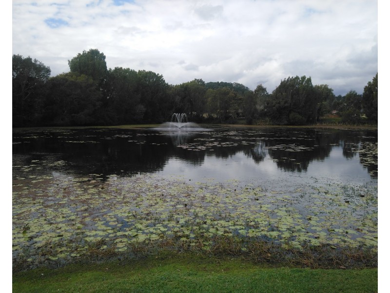 Tweed Heads NSW 2485